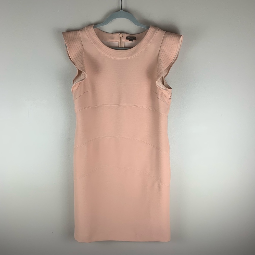 Ann Taylor Nude/Blush Mini Flutter Sleeve Dress size 6 Petite